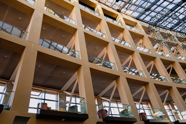 Quelles sont les faiblesses de la structure divisionnelle ?